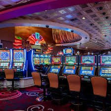 Dashboard platform totonusa menampilkan berbagai permainan sportsbook, live dealer, dan slot